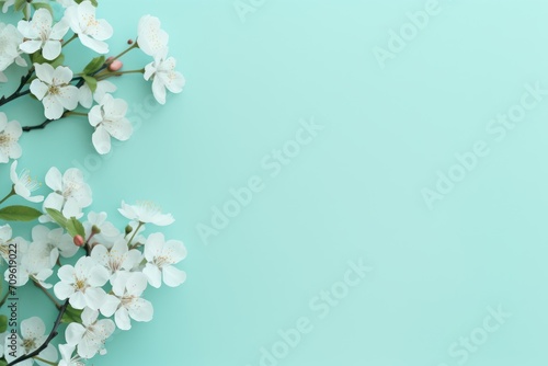  a branch of white flowers with green leaves on a pastel blue background with copy - space in the middle.