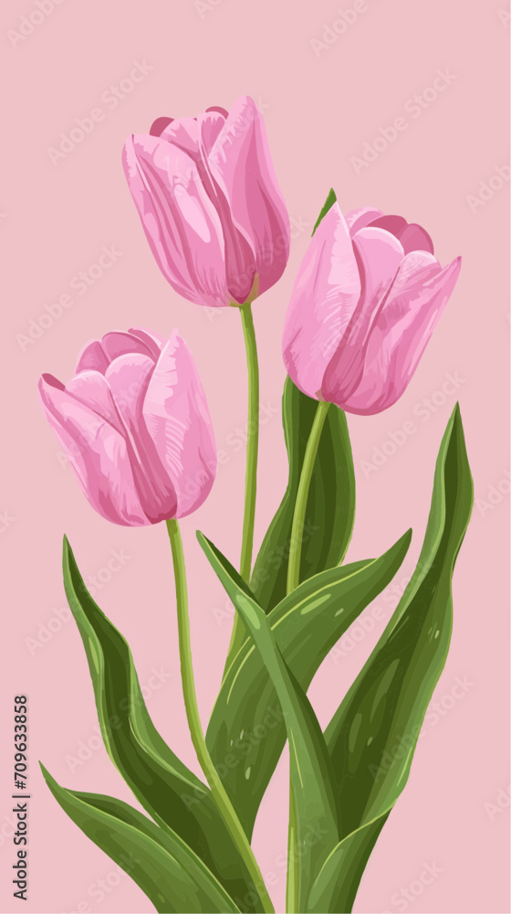bouquet of pink tulips bouquet of pink tulips