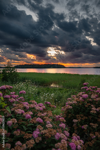 Dramatic dark sky sunset over the lake with flowers in foreground