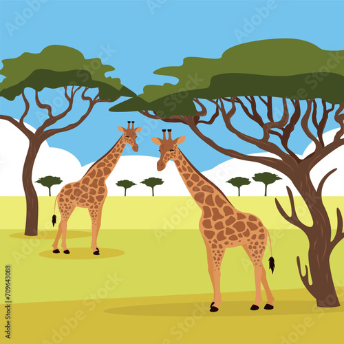 Giraffe in savanna. Vector illustration in flat style.