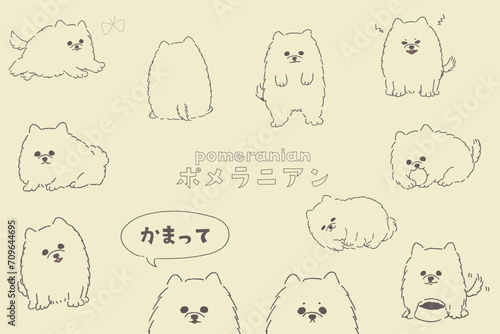 pome_standard_line-art