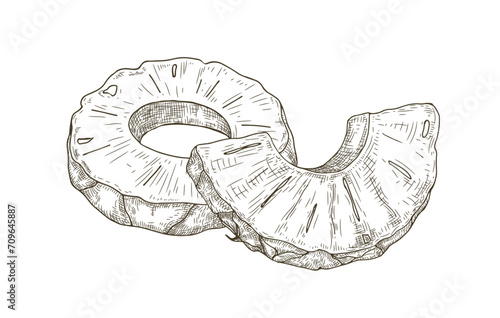 Cut pineapple, round slice, semi-circle piece in retro vintage style. Exotic tropical fruit, sketch drawing, etching. Hand-drawn ananas. Detailed vector illustration isolated on white background