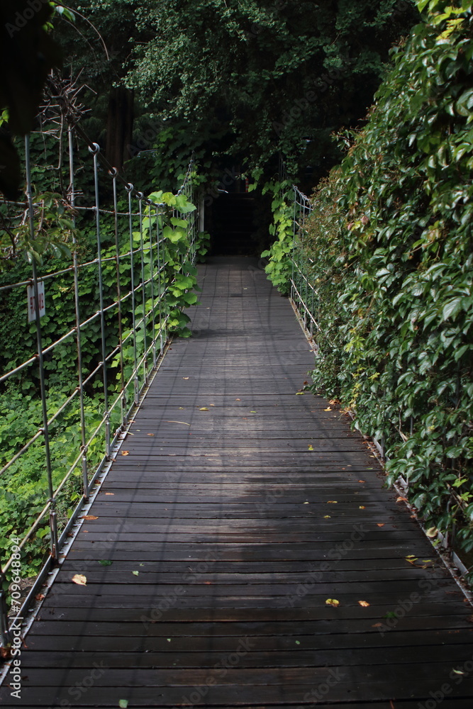 Obraz premium a suspension bridge