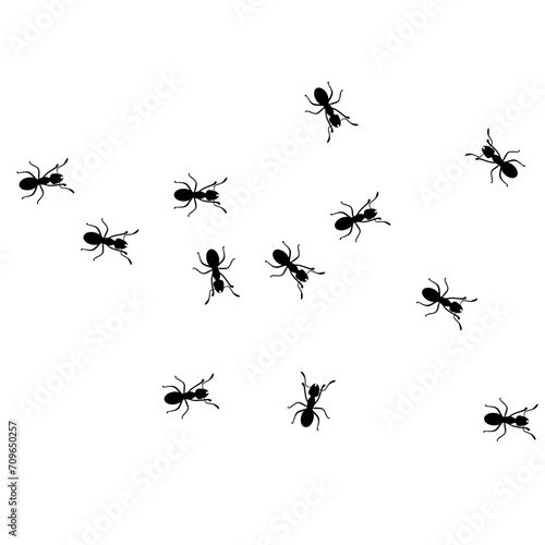 Vector illustration of a group of worker ants walking together on a white background. Black ants walking looking for food. Hard work concept.