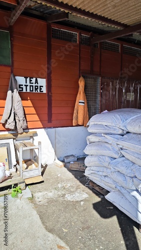 Konstfotografi Tea Store in Malasia