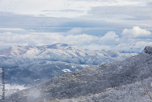 Wallpaper Mural Winter snowfall in Collada De Bracons and Puigsacalm peak, La Garrotxa, Girona, Spain Torontodigital.ca