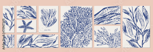 Vector sea life background set.