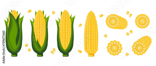 Sweet corn, corn on the cob with leaves, corn flakes and corn kernels. Icon set. Agriculture concept. Food icons, vector