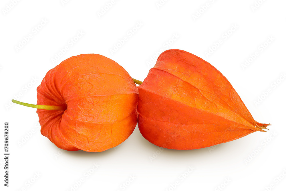 Cape gooseberry, physalis isolated on white background with full depth of field Cape gooseberry, physalis isolated on white background with full depth of field