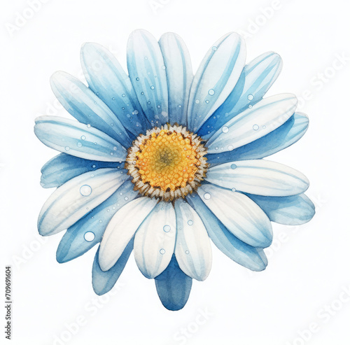 Blue and White Flower With Water Droplets - Nature Photography Close-up Shot