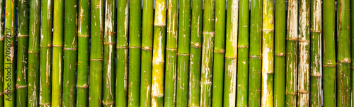 Green bamboo wall or fence background © Bowonpat