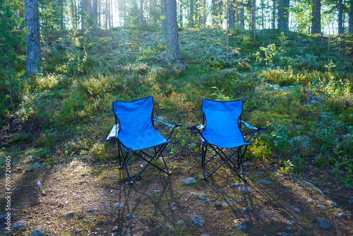 empty blue folding garden chairs on the wild pine forest on a sunny day.