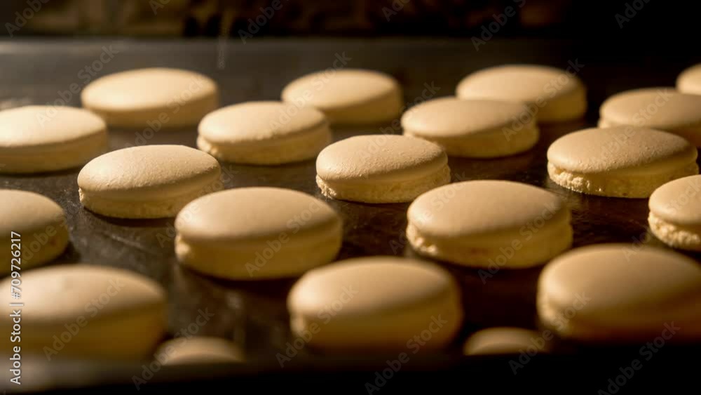 Macaroons. Baking macaroons in electric oven. Process of cooking macarons. Homemade macaroon cookies in oven. Timelapse of growing macarons. Baking concept. Close-up in 4K, UHD Macaroons. Baking macaroons in electric oven. Process of cooking macarons. Homemade macaroon cookies in oven. Timelapse of growing macarons. Baking concept. Close-up in 4K, UHD