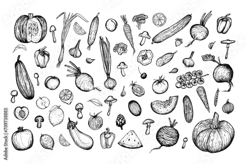 Vegetables and fruits sketch big set, hand drawn illustration on white background. Harvesting, vegetarianism.