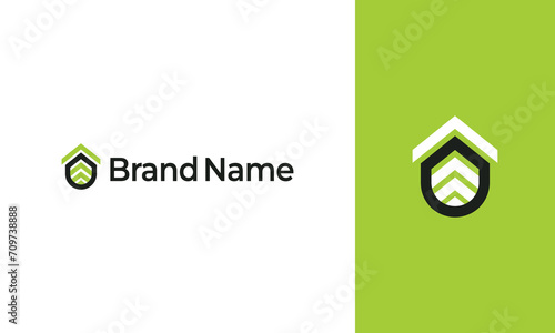 Eco Friendly Home Logo Design photo