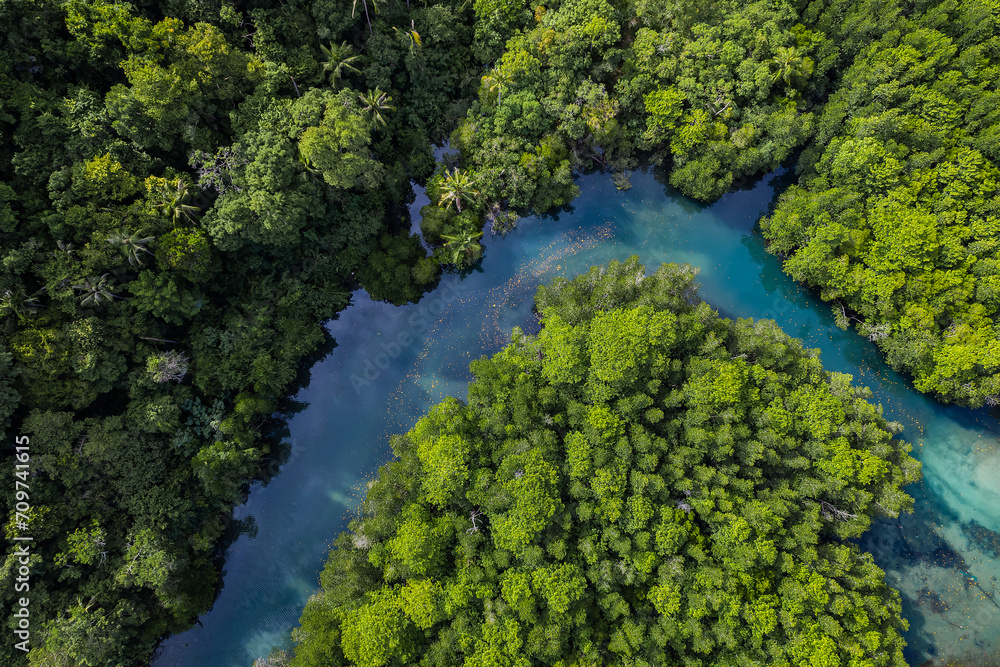 Beautiful aerial view of green mangroves or tropical forest in Thailand. Beautiful aerial view of green mangroves or tropical forest in Thailand.