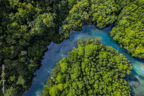 Beautiful aerial view of green mangroves or tropical forest in Thailand.