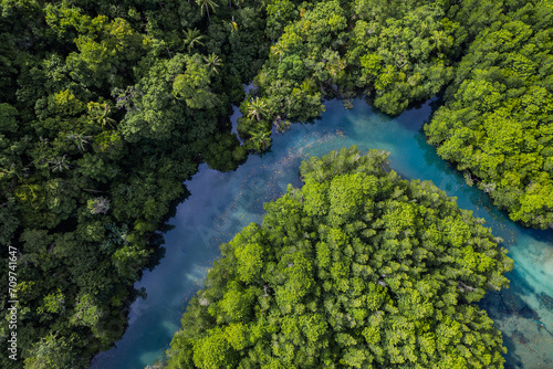 Beautiful aerial view of green mangroves or tropical forest in Thailand.