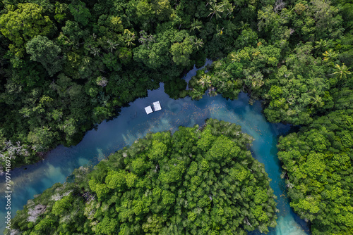 Beautiful aerial view of green mangroves or tropical forest in Thailand. © Chalearmrat