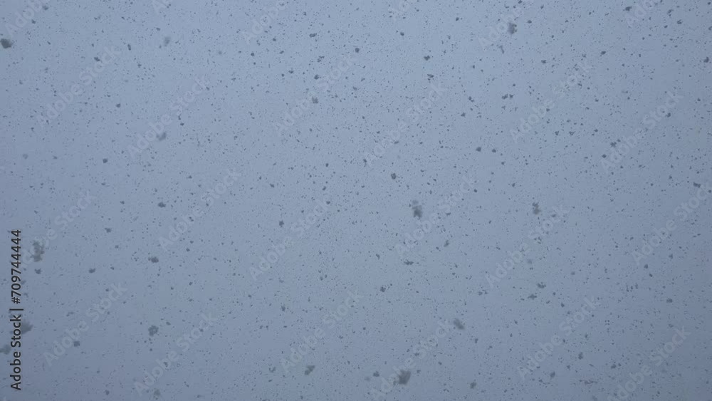 Day Fall Snow Nature Background Day Fall Snow Nature Background