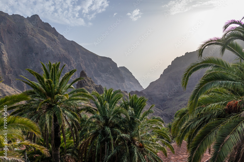 Fototapeta premium Masca village in sunset on Tenerife