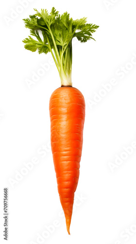Single carrot without leafs. Isolated on transparent background. PNG