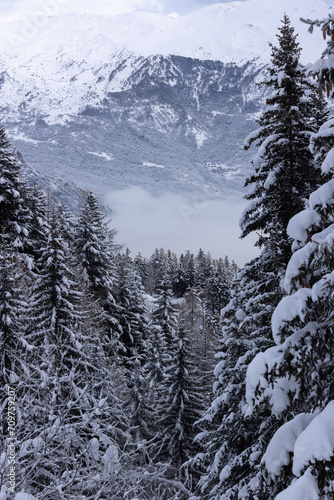 paysage de montagne hivernal. Les arbres et les sapins sont recouverts de neige. Il y a des nuages dans la vallée et les sommets sont enneigés.