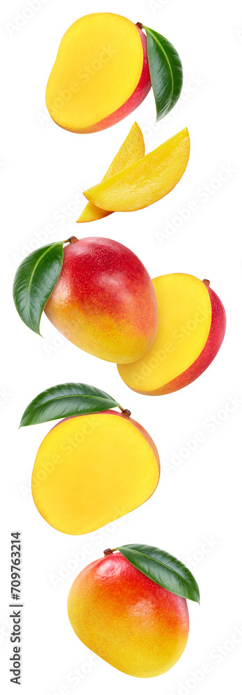 Fresh organic mango isolated clipping path Fresh organic mango isolated clipping path
