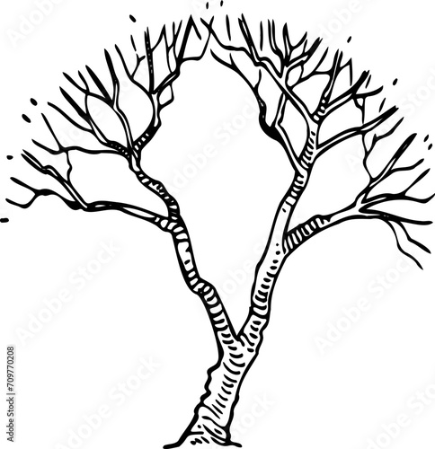 dry tree drawing.