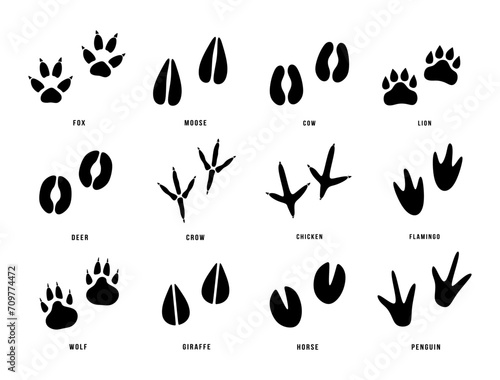 Set of animals footprint. Hand drawn various animal feet paws or footprints isolated on white background. Black silhouettes collection of animal tracks in minimal style. Vector illustration photo