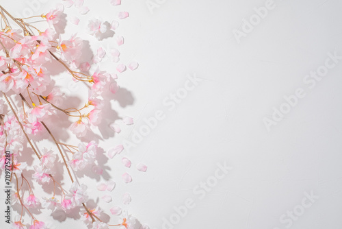 桜と白背景のフリースペース