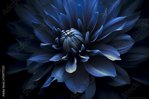 Flor azul escuro contemporânea isolado no fundo preto - Papel de parede