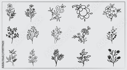 Vector decorative leaves and flower floral elements set vector.
