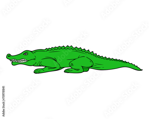 crocodile vector illustration