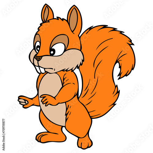  squirrel vector illustration