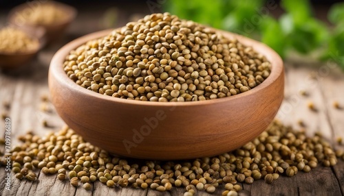 Coriander Seeds, offering a citrusy, nutty flavor, widely used in spice blends and as a garnish