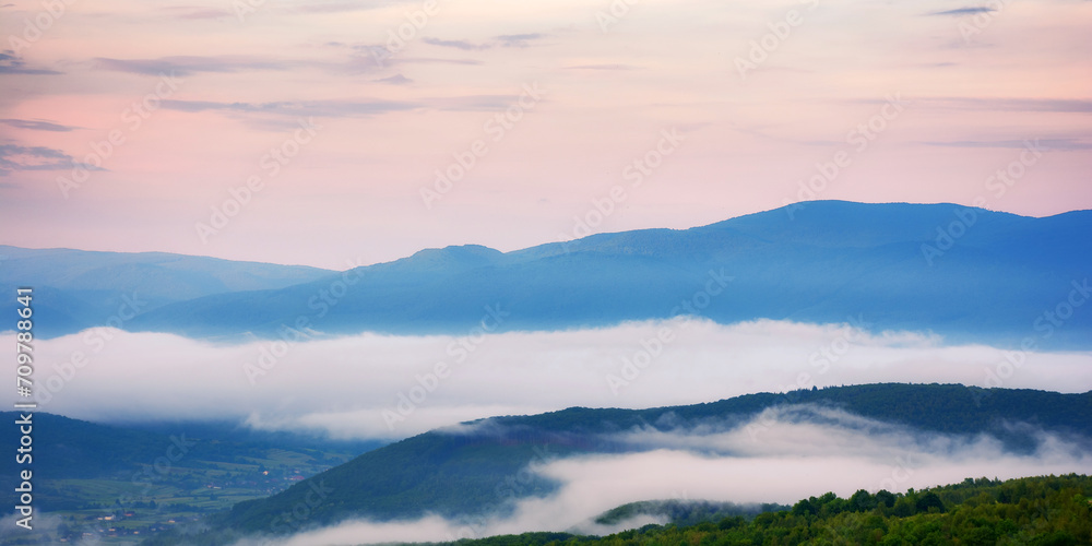 foggy morning in the valley of transcarpathian countryside region in spring. mountainous rural landscape of ukraine at dawn