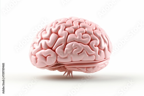 Highly detailed and lifelike depiction of a human brain, isolated on a pristine white background
