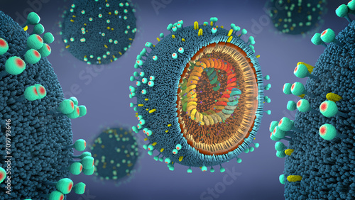 Close up of a influenza virus particle in cross section showing its DNA and enzymes inside virus pathogen - 3d illustration photo