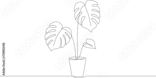 hand drawn monstera tropical leaf line art vector