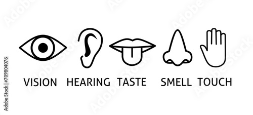 vector icons for the five senses. icons for vision, hearing, taste, smell and touch