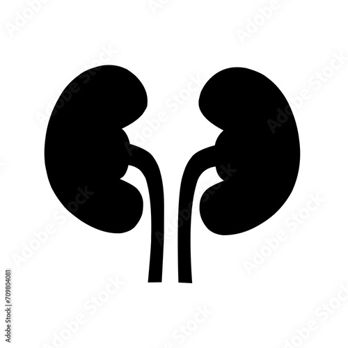 human kidney icon vector on white background