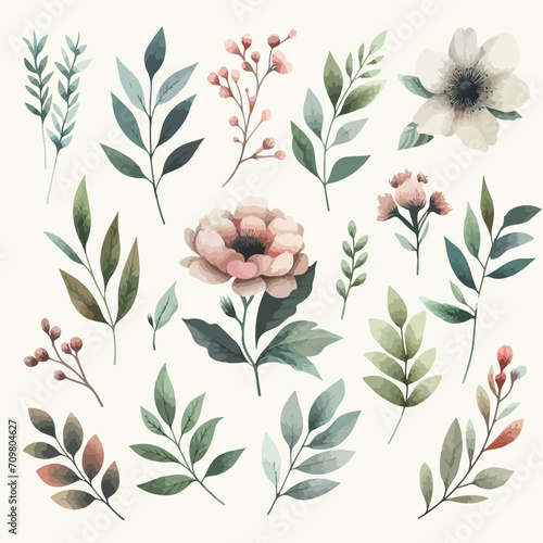 Watercolor arrangements with small flower. Botanical illustration minimal style.