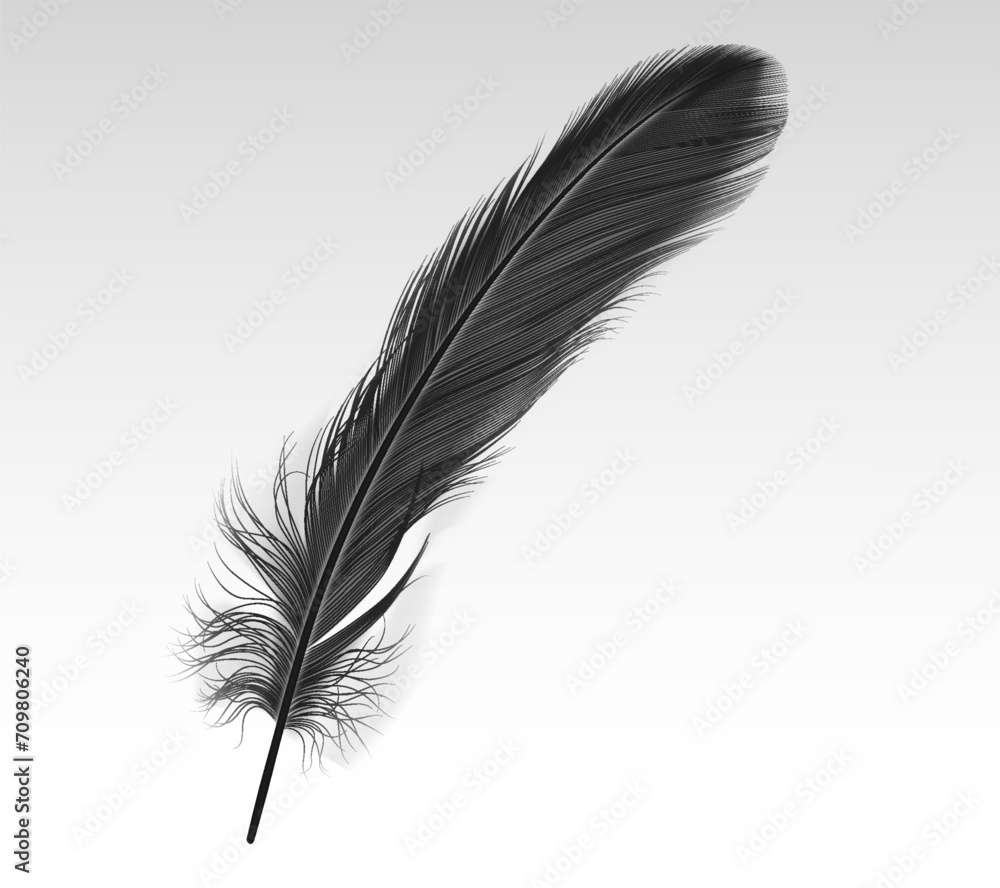 Single black feather realistic vector illustration on white background. Dark crow quill 3d design element. Soft bird plumage part image Single black feather realistic vector illustration on white background. Dark crow quill 3d design element. Soft bird plumage part image