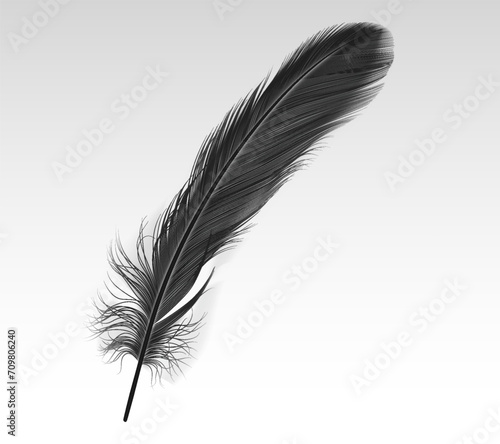 Single black feather realistic vector illustration on white background. Dark crow quill 3d design element. Soft bird plumage part image