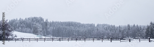 Winter white forest with snow. Weather concept. Winter, frost, cold snap in winter