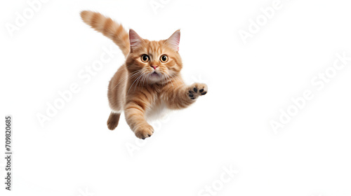 Flying funny kitten on white background generated AI