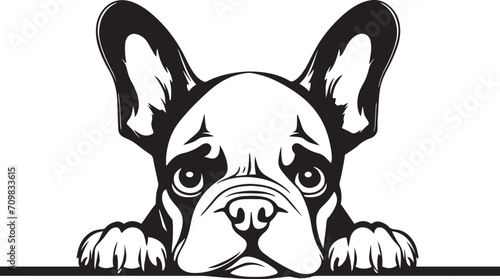Peeking French bulldog face, Dog head, isolated on a white background, Vector, Illustration