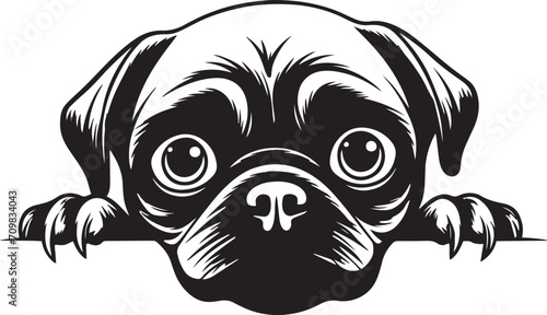 Peeking Pug face, Dog head, isolated on a white background, Vector, Illustration