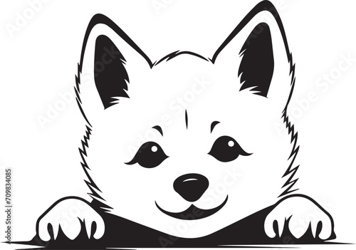 Peeking Shiba Inu face, Cute Dog head, Funny dog, isolated on a white background, Vector, Illustration